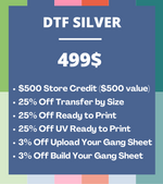 DTF SILVER PLAN